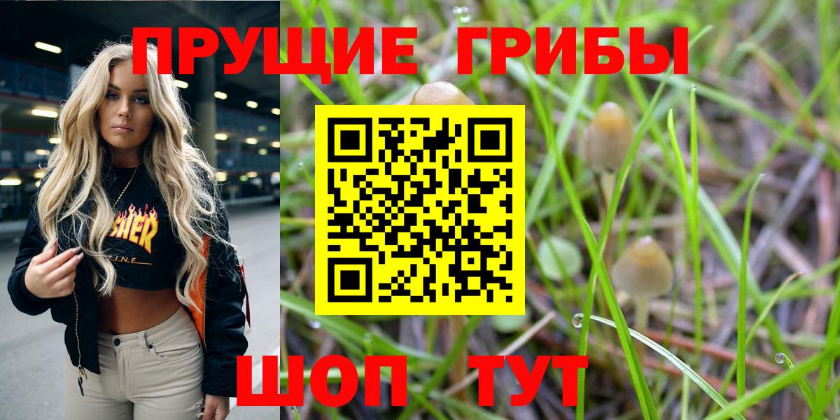 Галлюциногенные грибы прущие грибы Камень-на-Оби