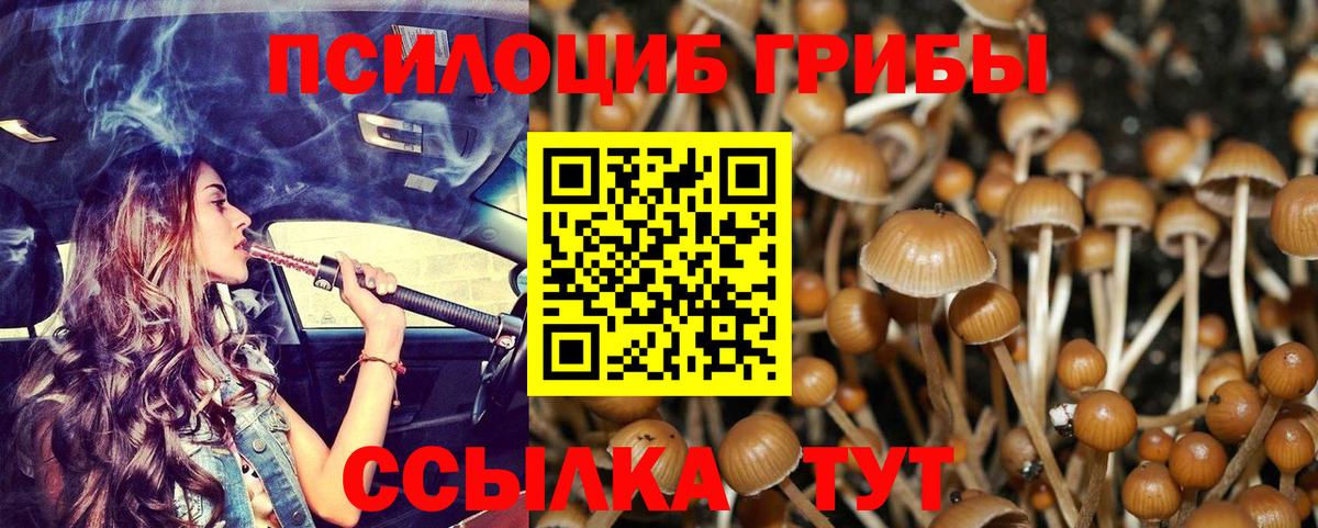 Галлюциногенные грибы MAGIC MUSHROOMS  Вход с VPN  Камень-на-Оби 